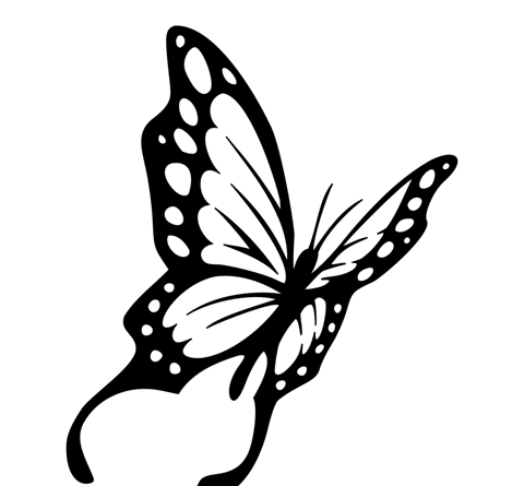 عکس تاتو پروانه