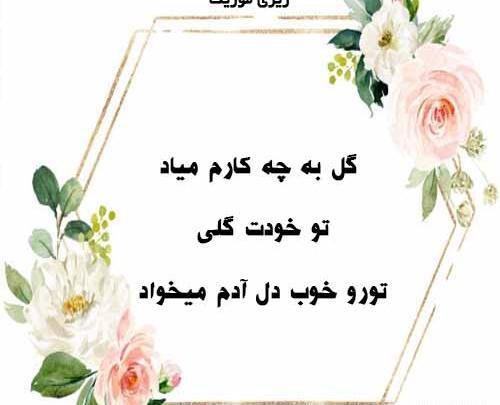 عکس نوشته تو خودت گلی