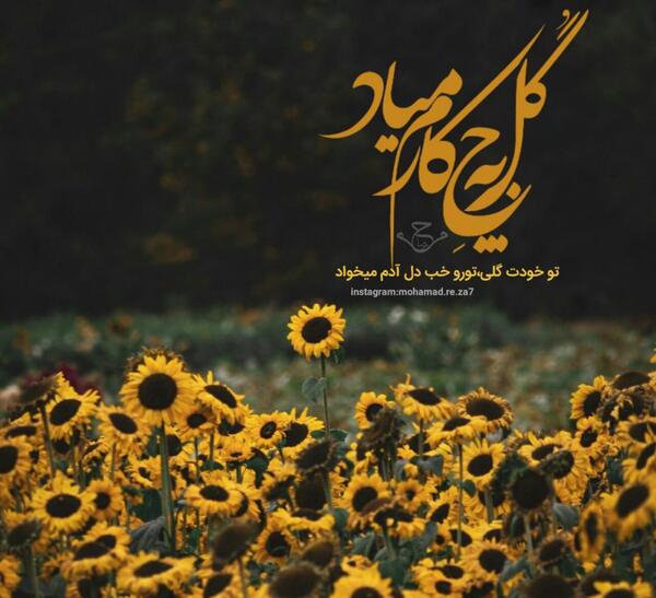 عکس نوشته تو خودت گلی