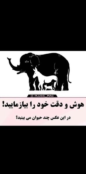 چند حیوان در عکس فیل میبینید