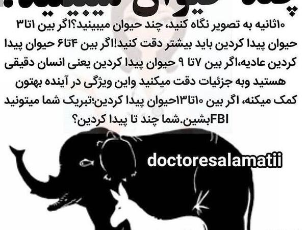 چند حیوان در عکس فیل میبینید