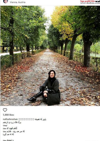 عکس جالب از طبیعت