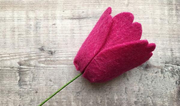عکس گل لاله نمدی