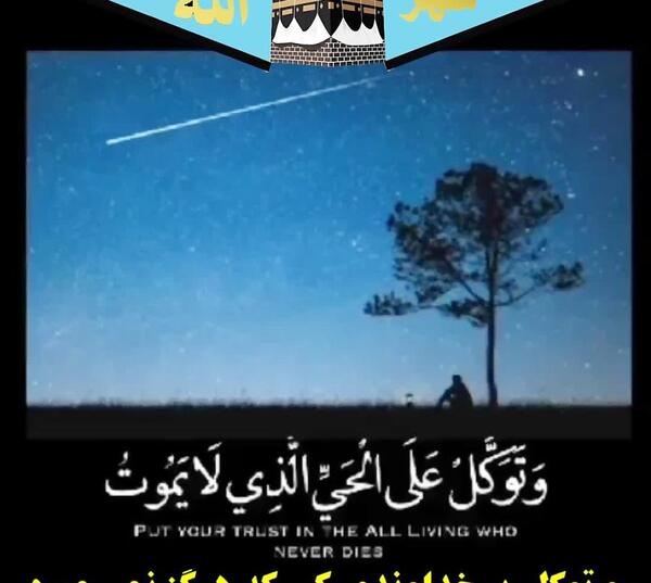 عکس نوشته توکلت علی الحی الذی لایموت