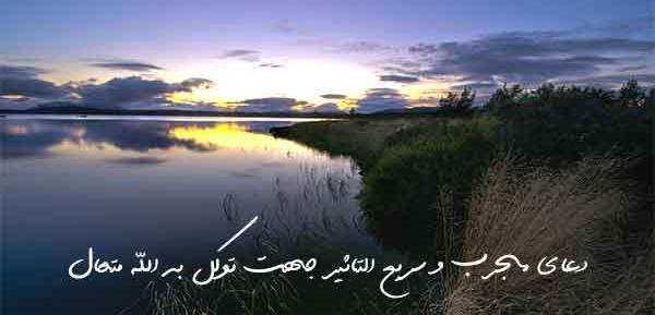 عکس نوشته توکلت علی الحی الذی لایموت