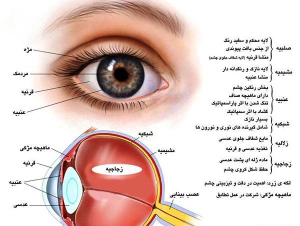 عکس چشم انسان