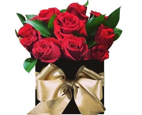عکس گل ذوزنقه