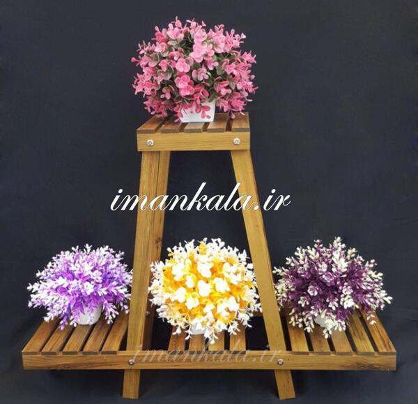 عکس گل ذوزنقه