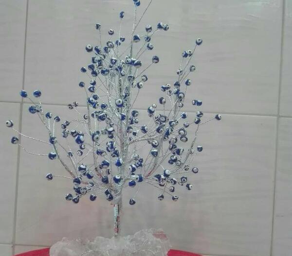 عکس درختچه چشم نظر