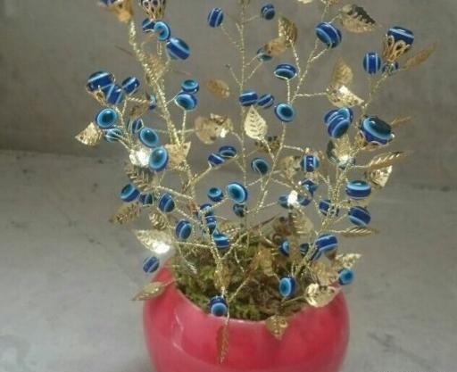 عکس درختچه چشم نظر