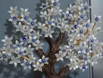 عکس درختچه چشم نظر