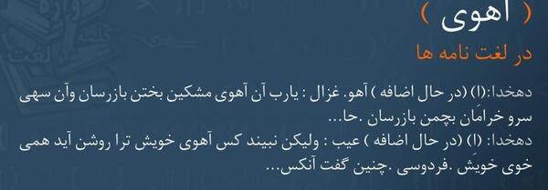 عکس آهوی مشکین