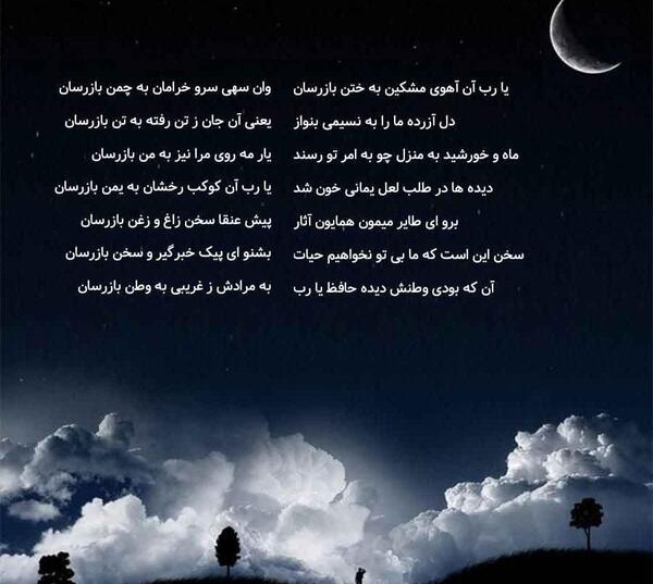 عکس آهوی مشکین