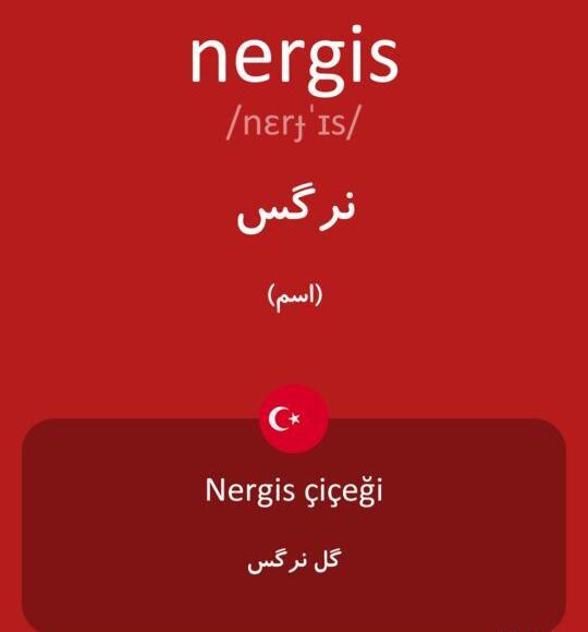 عکس نوشته نرگس به انگلیسی