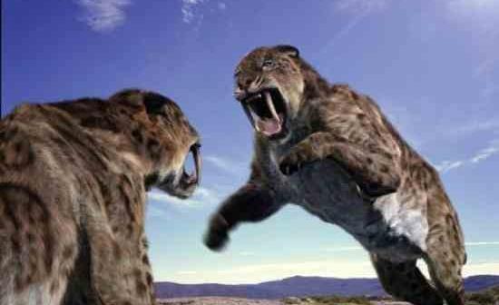 عکس شیر های ماقبل تاریخ