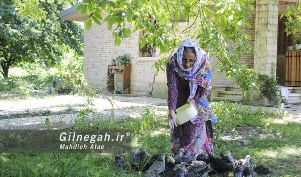 عکس شیرین پارسی