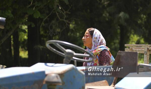 عکس شیرین پارسی