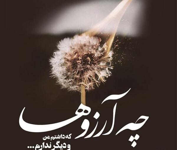 عکس قلب شکسته با گل