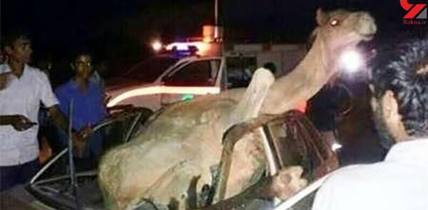 عکس خاطرات تلخ گذشته