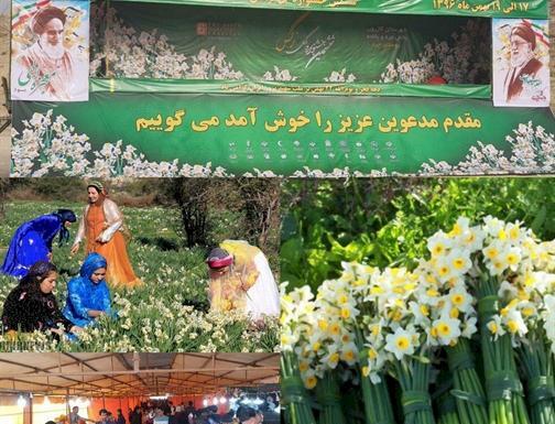 عکس گل نرگس کازرون