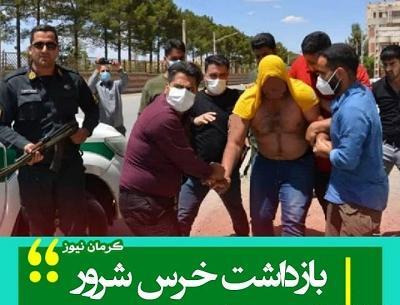 عکس حسن خرس