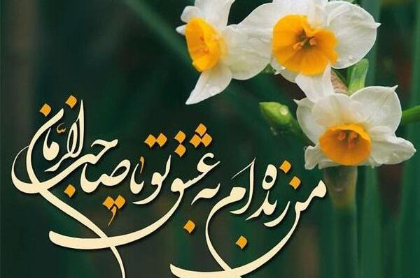 عکس گل نرگس امام زمان