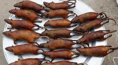 عکس غذای ترسناک