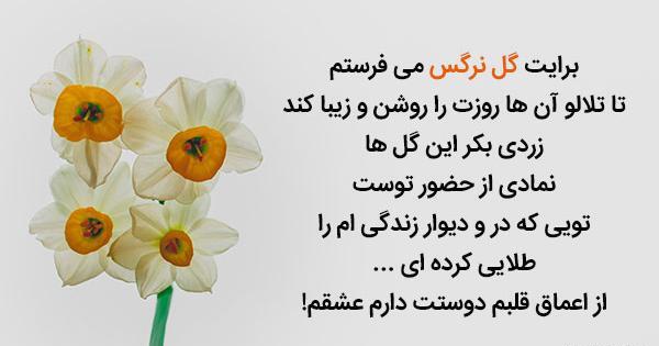 عکس نوشته های گل نرگس