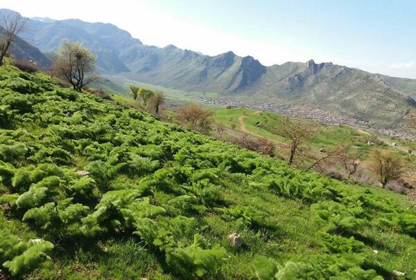 عکس تصاویر زیبا از طبیعت کردستان