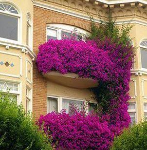 عکسهای طبیعت خیلی زیبا