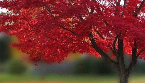 عکسهای طبیعت خیلی زیبا