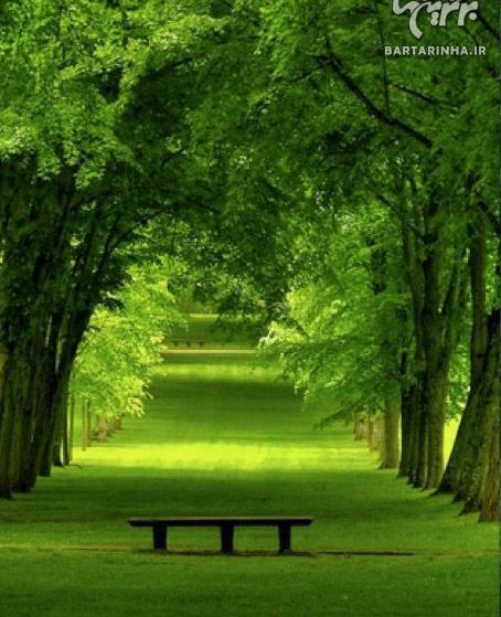 عکسهای طبیعت خیلی زیبا