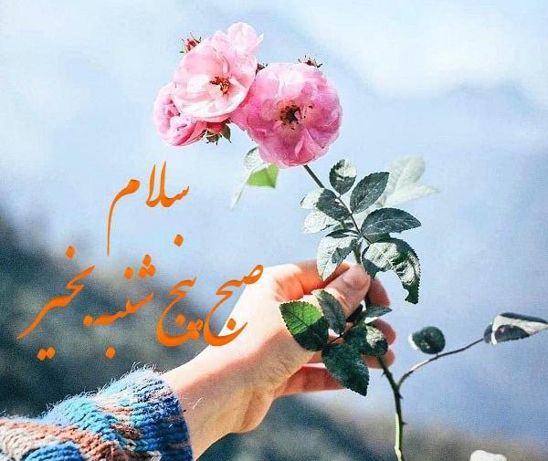 عکس سلام صبح بخیر روز چهارشنبه