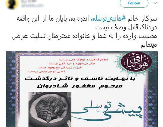 عکس هانیه توسلی با گربه اش