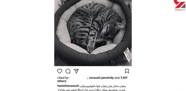 عکس هانیه توسلی با گربه اش