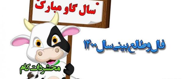 عکس گاو سال ۱۴۰۳