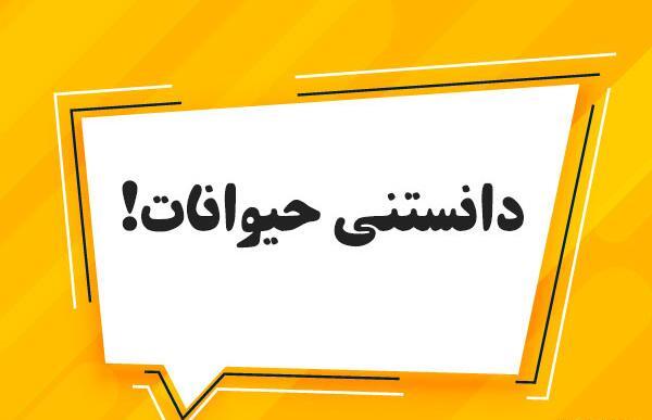 عکس های جالب علمی