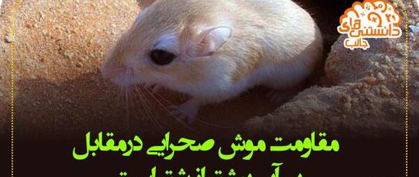 عکس های جالب علمی