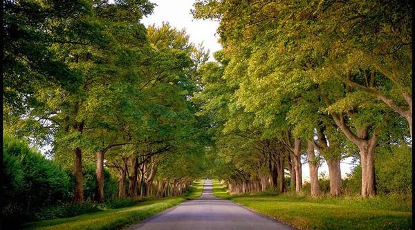 قالب عکس منظره زیبا