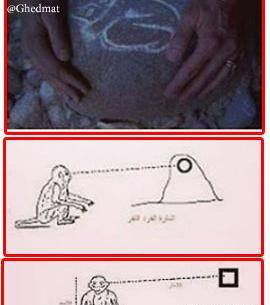 عکس طلسم میمون