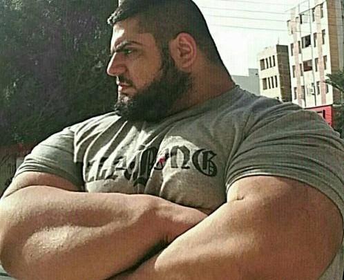 عکس سجاد پهلوان