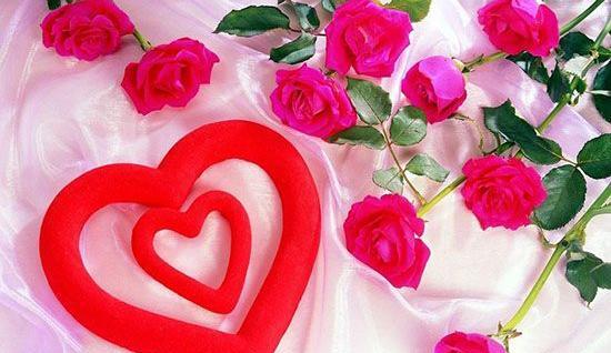 عکس گل رز عشق