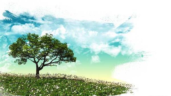 عکس از طبیعت برای نقاشی