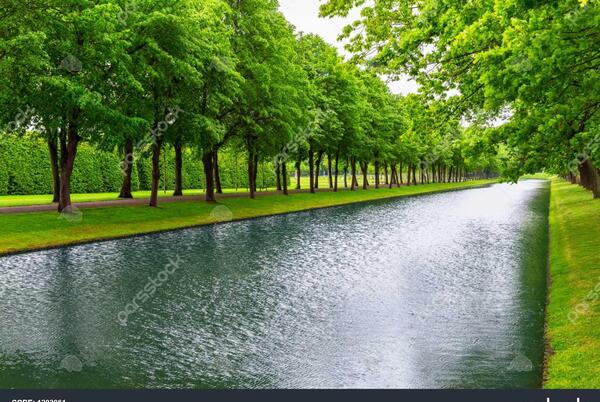 عکس منظره تابستان