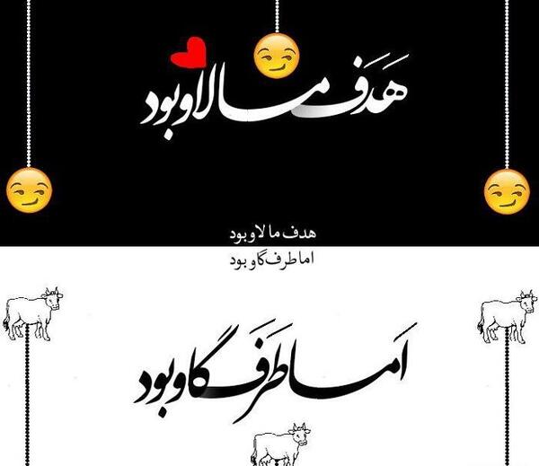 عکس یه گاو