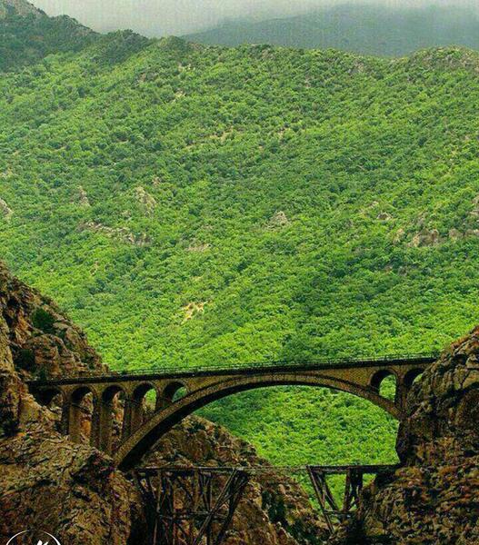 عکس منظره بهار
