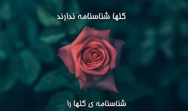 عکس نوشته گل دلتنگی