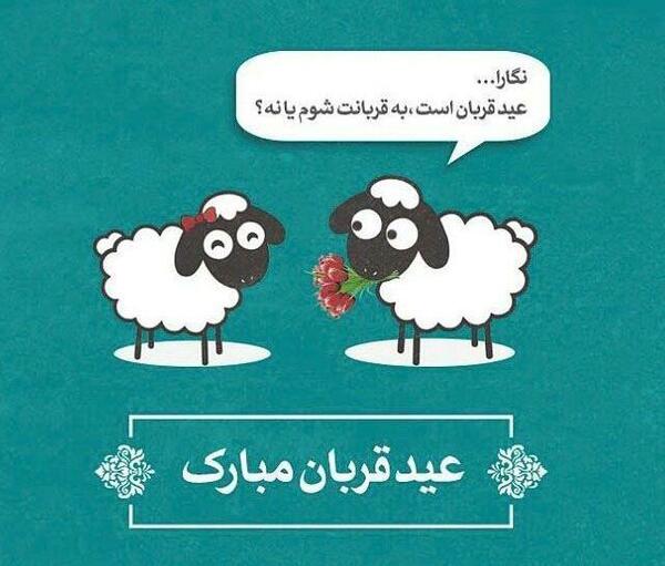 عکس نوشته طنز برای عید قربان