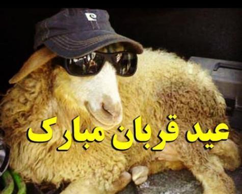 عکس نوشته طنز برای عید قربان