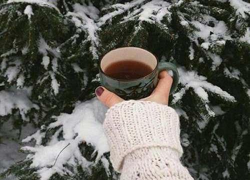 عکس چای در طبیعت زمستانی